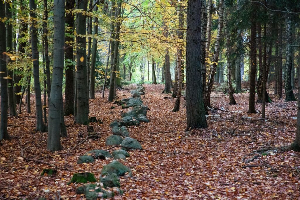 Prehistoric Stone Rows of Kounov